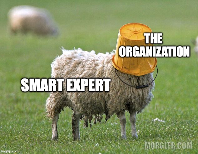 Cover for Many Organizations Accidentally Train People to Stop Thinking