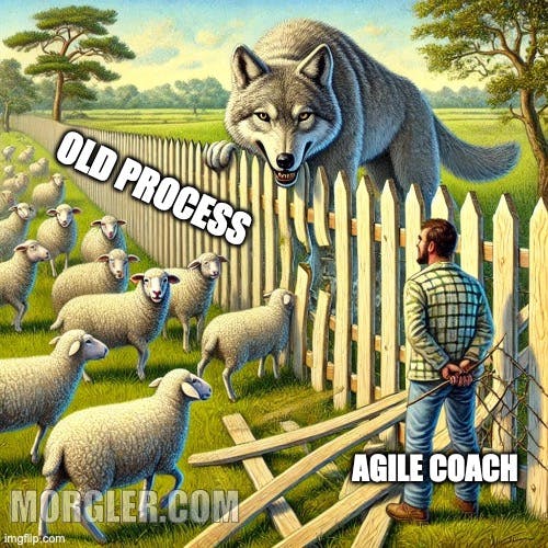 Slow Down to Speed Up: Why Observation is the Secret Weapon of Successful Agile Coaching